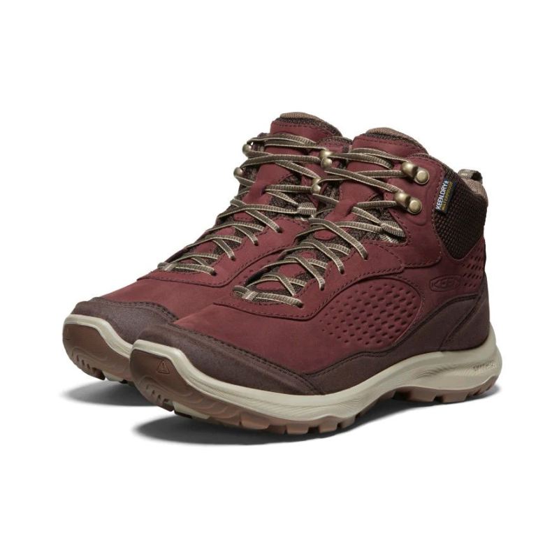 Neu Eingetroffen Keen Terradora Explorer Waterproof Stiefel-Andorra/Java